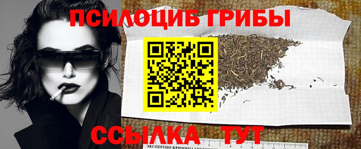 Камышлов  Галлюциногенные грибы ЛСД  Галлюциногенные грибы Cubensis  Вход с VPN 